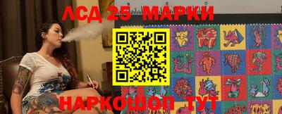 бошки Шелехов