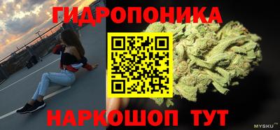бошки Шелехов