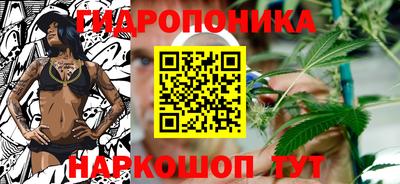 бошки Шелехов