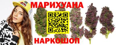 бошки Шелехов