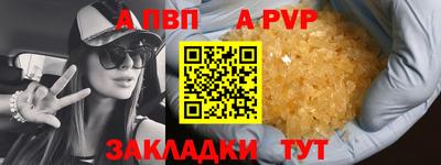 бошки Шелехов