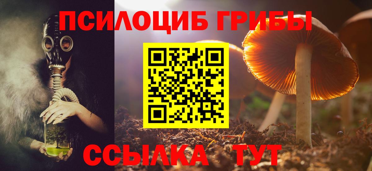 Сегежа  Галлюциногенные грибы мицелий  Вход с VPN 